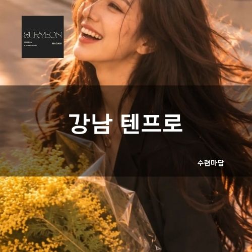 강남 텐프로 예약·문의·가격·시스템·정보 | 수련마담 가이드